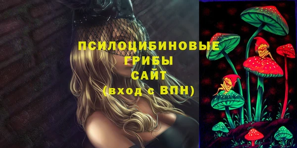 винт Алзамай
